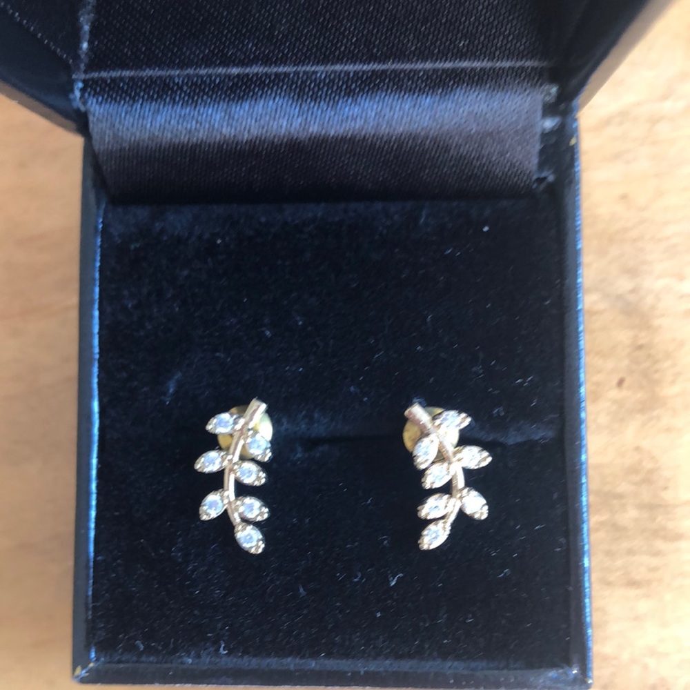 Pair of Leaf Earrings